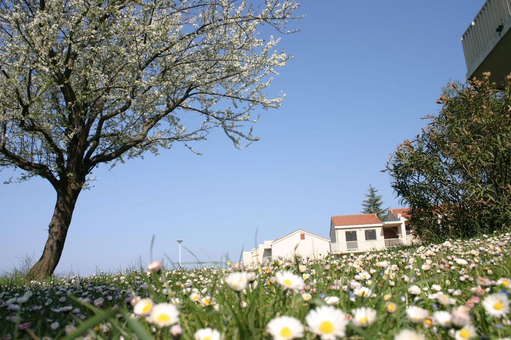 Apartments Polynesia Plava Laguna Umag Exterior foto
